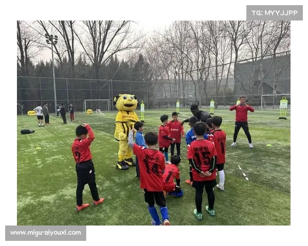 德甲青少年足球推广计划，基层参与度提高